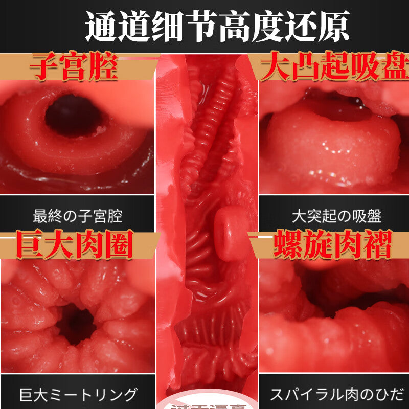 Hashimoto II V&A MIZZE Alat Bantu Pijat Pria Onahole Sex Toy